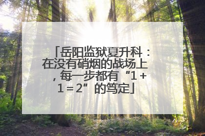 岳阳监狱夏升科：在没有硝烟的战场上，每一步都有“1＋1＝2”的笃定