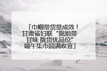 巾帼带货显成效！甘肃省妇联“陇姐带甘味 陇货优品位”端午集市圆满收官