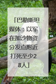巴勒斯坦媒体：以军在加沙物资分发点附近打死至少28人