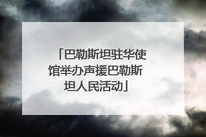 巴勒斯坦驻华使馆举办声援巴勒斯坦人民活动