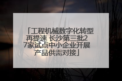 工程机械数字化转型再提速 长沙第三批27家试点中小企业开展产品供需对接