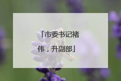 市委书记褚伟，升副部
