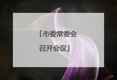 市委常委会召开会议