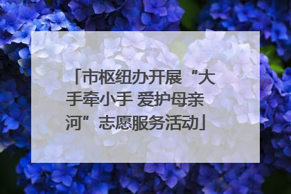 市枢纽办开展“大手牵小手 爱护母亲河”志愿服务活动