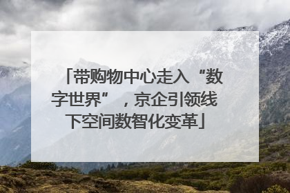 带购物中心走入“数字世界”，京企引领线下空间数智化变革