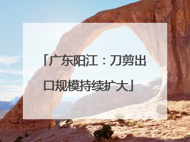 广东阳江：刀剪出口规模持续扩大