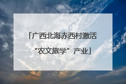 广西北海赤西村激活“农文旅学”产业