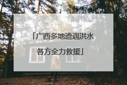 广西多地遭遇洪水 各方全力救援