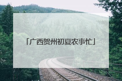 广西贺州初夏农事忙