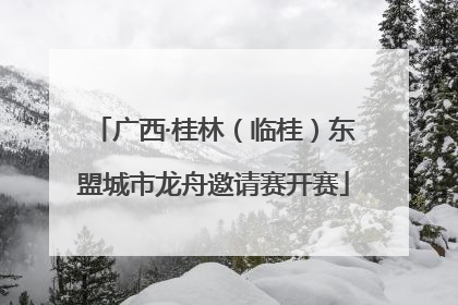 广西·桂林（临桂）东盟城市龙舟邀请赛开赛
