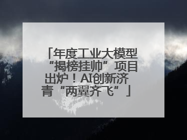 年度工业大模型“揭榜挂帅”项目出炉！AI创新济青“两翼齐飞”