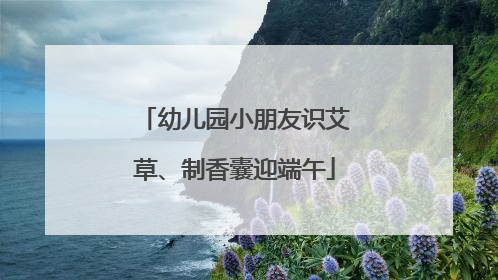 幼儿园小朋友识艾草、制香囊迎端午