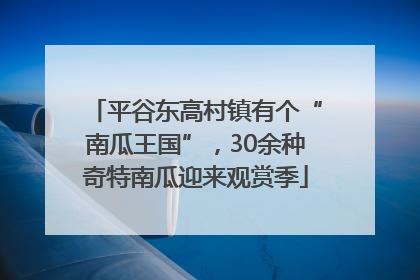 平谷东高村镇有个“南瓜王国”，30余种奇特南瓜迎来观赏季