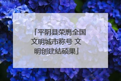 平阴县荣膺全国文明城市称号 文明创建结硕果
