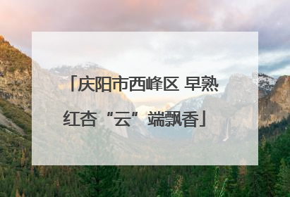 庆阳市西峰区 早熟红杏“云”端飘香