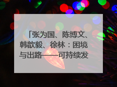 张为国、陈博文、韩歆毅、徐林：困境与出路——可持续发展的未来｜2025IFCII