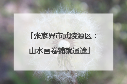 张家界市武陵源区：山水画卷铺就通途