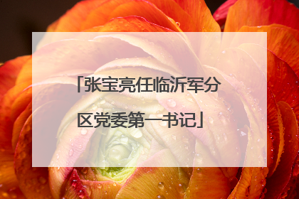 张宝亮任临沂军分区党委第一书记