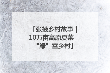 张掖乡村故事｜10万亩高原夏菜“绿”富乡村