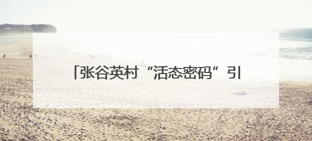 张谷英村“活态密码”引百万客！古村焕新，家风+科技成文旅融合新爆点