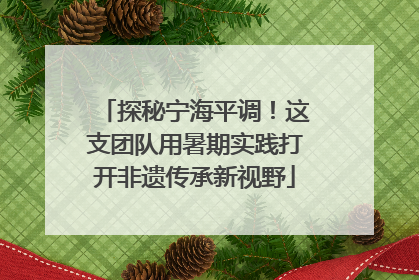 探秘宁海平调！这支团队用暑期实践打开非遗传承新视野