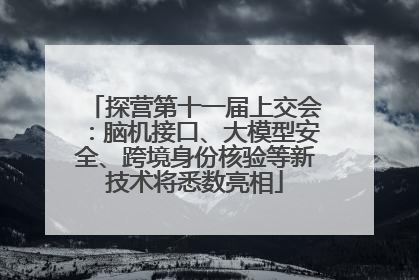 探营第十一届上交会：脑机接口、大模型安全、跨境身份核验等新技术将悉数亮相