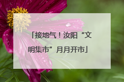 接地气！汝阳“文明集市”月月开市