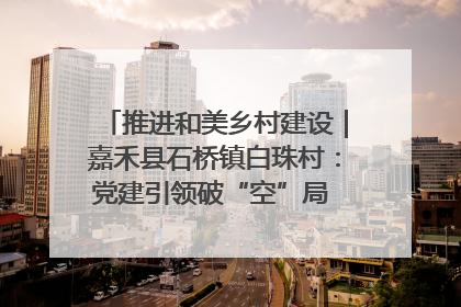 推进和美乡村建设｜嘉禾县石桥镇白珠村：党建引领破“空”局 乡贤聚力绘就新图景