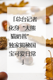 总台记者化身“大熊猫奶爸” 独家揭秘国宝可爱日常