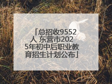 总招收9552人 东营市2025年初中后职业教育招生计划公布