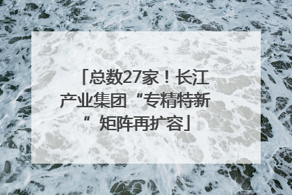 总数27家！长江产业集团“专精特新”矩阵再扩容