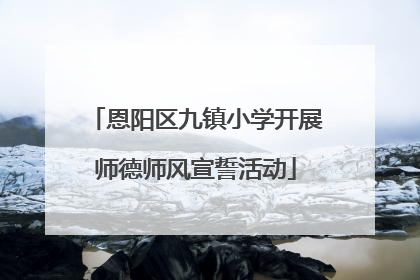 恩阳区九镇小学开展师德师风宣誓活动