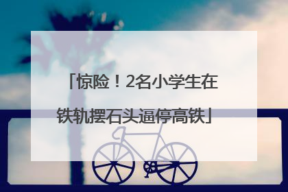 惊险！2名小学生在铁轨摆石头逼停高铁