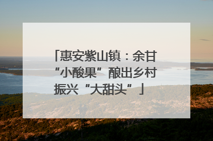 惠安紫山镇：余甘“小酸果”酿出乡村振兴“大甜头”