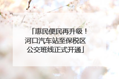 惠民便民再升级！河口汽车站至保税区公交班线正式开通
