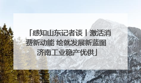 感知山东记者谈丨激活消费新动能 绘就发展新蓝图 济南工业稳产优供