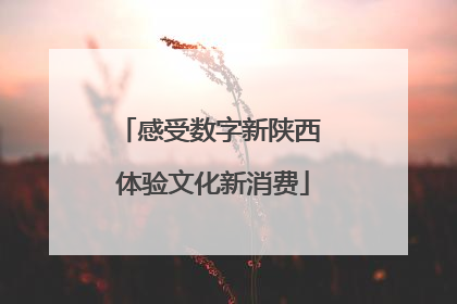 感受数字新陕西 体验文化新消费