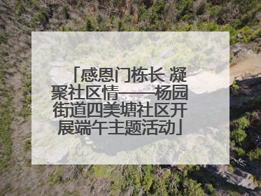 感恩门栋长 凝聚社区情——杨园街道四美塘社区开展端午主题活动