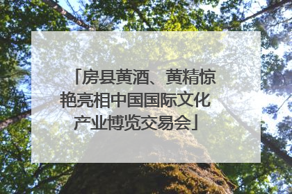 房县黄酒、黄精惊艳亮相中国国际文化产业博览交易会