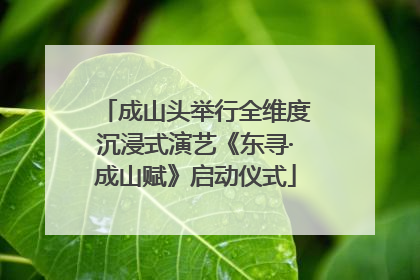 成山头举行全维度沉浸式演艺《东寻·成山赋》启动仪式