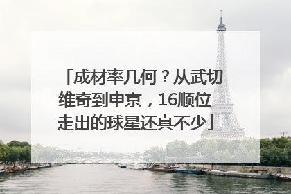 成材率几何？从武切维奇到申京，16顺位走出的球星还真不少