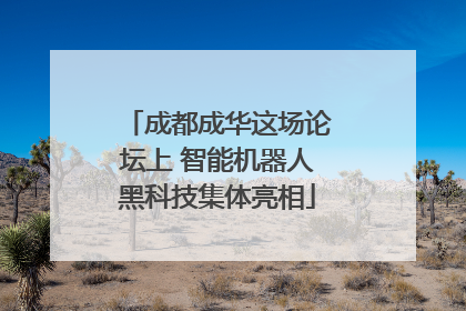 成都成华这场论坛上 智能机器人黑科技集体亮相