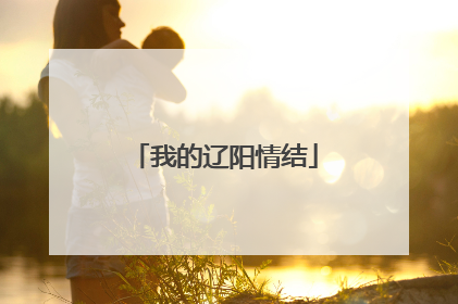 我的辽阳情结