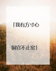 我有方寸心 铜官不止窑