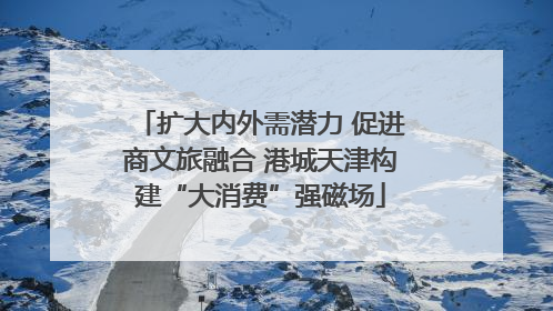 扩大内外需潜力 促进商文旅融合 港城天津构建“大消费”强磁场