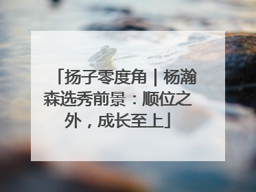 扬子零度角｜杨瀚森选秀前景：顺位之外，成长至上