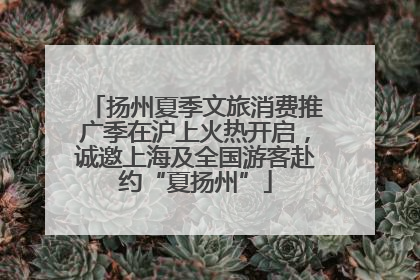 扬州夏季文旅消费推广季在沪上火热开启，诚邀上海及全国游客赴约“夏扬州”