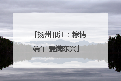 扬州邗江：粽情端午 爱满东兴