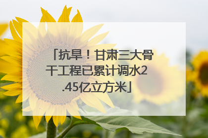 抗旱！甘肃三大骨干工程已累计调水2.45亿立方米