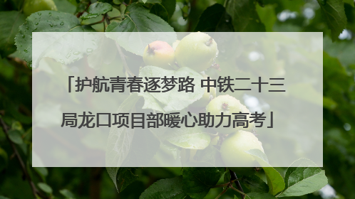 护航青春逐梦路 中铁二十三局龙口项目部暖心助力高考